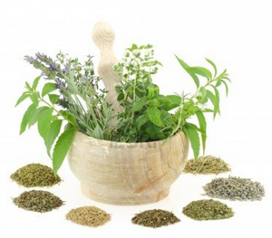 Treatment for Stage 4 CKD, High Blood Pressure, Creatinine 3.5, BUN 90