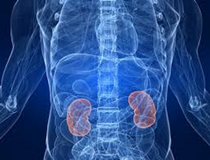 Chinese Medicine for Kidney Failure and Diabetes