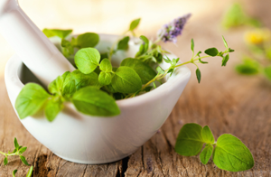 Natural Treatment to Lower Creatinine in Lupus Nephritis Stage IV