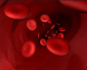 Why is There Blood in Urine with Kidney Failure