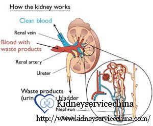 CKD: Holistic Approaches to Repair 40% Kidney Function