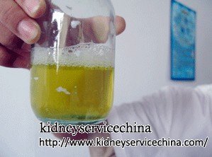 Can CKD with Proteinura Be Reversed Naturally