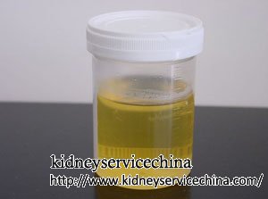 Alternative Natural Treatments for Proteinuria in Kidney Disease
