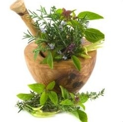 Kidneys Leaking Protein Chinese Herbal Remedy