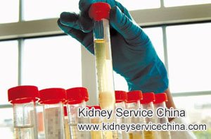 CKD: How to Get Rid of Protein in Urine Naturally by Chinese Remedy