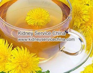Is Green Tea Good for Lowering Creatinine Levels in Kidney Disease
