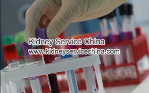 Stage 3 CKD and Creatinine 3.9: How to Stop My Kidney from Being Failed
