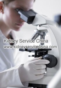 Chinese Medicine for Microscopic Hematuria in Kidney Disease