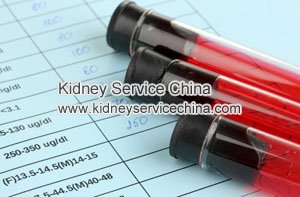 Renal Failure: Best Way to Lower Serum Creatinine 2.4 and BUN 47