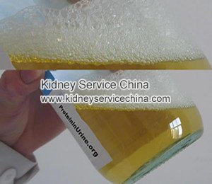Does Proteinuria Mean Kidney Disease