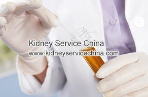Gross Blood in Urine with Lupus: What does This Mean