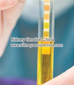 Holistic Treatment for Proteinuria in CKD without Dialysis
