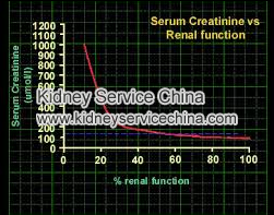 What Do Creatinine Levels Mean