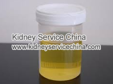 Low Kidney Function And Bubble In The Urine