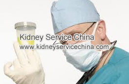 Symptoms Of Protein In Urine