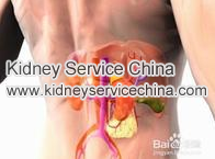 Why High Creatinine Is Dangerous 