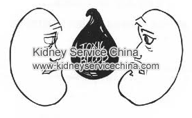 What Does An Elevated Creatinine Level In The Blood Suggest