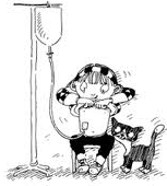 Can Someone Who Is Doing Peritoneal Dialysis Keep A Pet