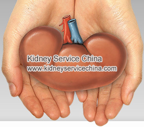 High Creatinine Levels After Kidney Transplant  