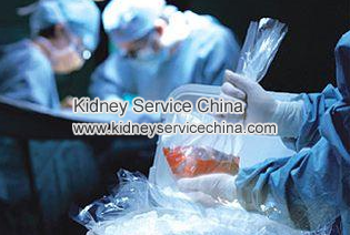 Does High Creatinine Level Mean You Need A Kidney Transplant
