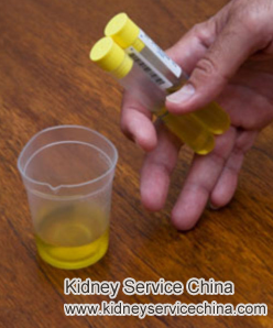 What Does The Urine Look Like When Someone Has Proteinuria 