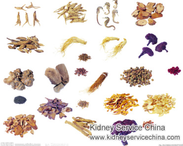What Herbs Are Good For Kidneys And High Blood Pressure
