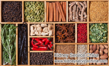 Is There Any Holistic Medicine For Kidney Failure