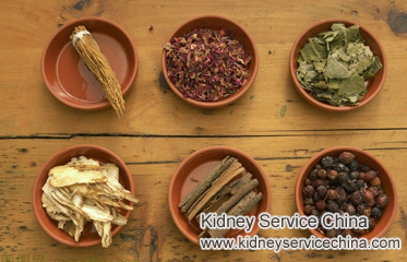 Natural Remedies For Protein In Urine In Renal Patients