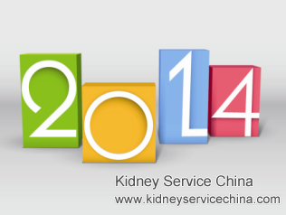 34% Kidney Function: Best Treatment to Reverse It in 2014