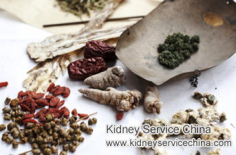 Chinese Medicine to Restore Kidney Function