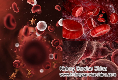 Blood Pollution Therapy Lowers Creatinine 2.7 With FSGS Patients