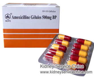 Is Amoxicillin Safe for Nephrotic Syndrome Patients