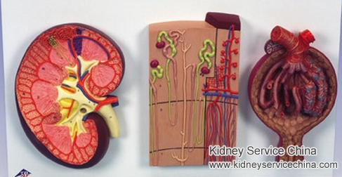 How To Treat Massive Proteinuria In FSGS 