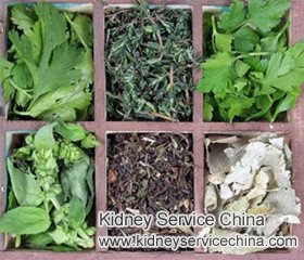 Best Treatment for Kidney Cyst