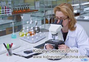 Systematic Treatment for Kidney Failure Caused by IgA Nephropathy