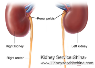 Kidneys Shutting Down: How to Stop It
