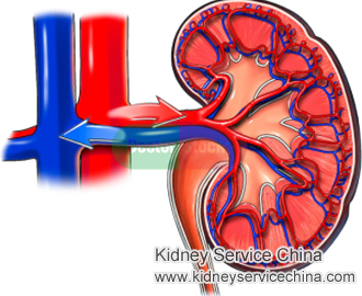 How to Restore Kidney Function Naturally