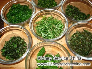 Is There Any Natural Remedy that Can Help Repair Kidney Damage in Diabetic Nephropathy