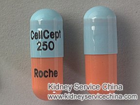 Cellcept Dosage for Nephrotic Syndrome