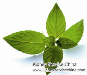 Natural Help for Proteinuria In Kidney Disease