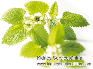 Micro Chinese Medicine Therapy for Stage 5 Chronic Kidney Disease