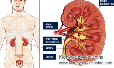 Grade 3 Renal Parenchymal Disease: What Is the Effective Treatment