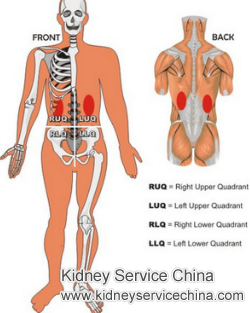 The Effective Treatments for Shrinking Right Kidney