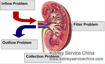 Is There Any Treatment for Irreversible Dysfunction of Kidneys