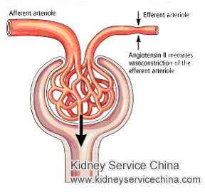 Kidney Function Down to 35% from 45% for Lupus Nephritis