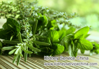 Herbs Help With Proteinuria and Face Swelling for Nephritis