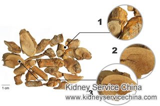 Benefits of Thunder God Vine for Kidney Disease Patients