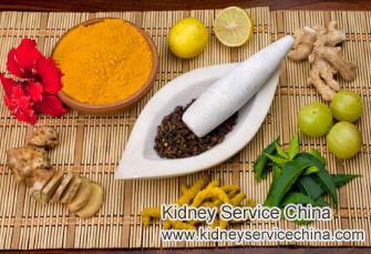 Can Ayurveda or Homeopathic Medicine Treat Nephrotic Syndrome