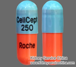 Natural Remedies to Stop Cellcept for Nephrotic Syndrome Patients