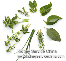 Can FSGS Patients of Kidney Disease Be Treated with Chinese Medicine